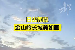 美记：湖人、国王、火箭和尼克斯对卡佩拉展现出了一定的兴趣